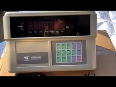 Digital-Gewichts-Indikator