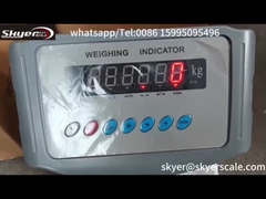 Digital-Gewichts-Indikator