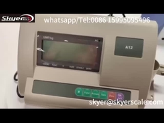 Digital-Gewichts-Indikator