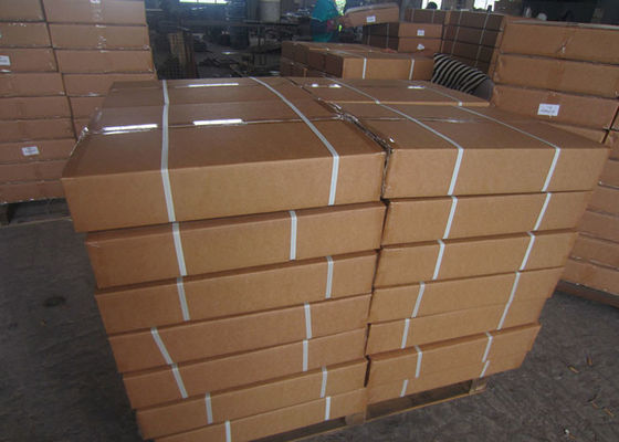 450×600mm 0,5 Tonnen-Kohlenstoffstahl-Bank-wiegende Skala