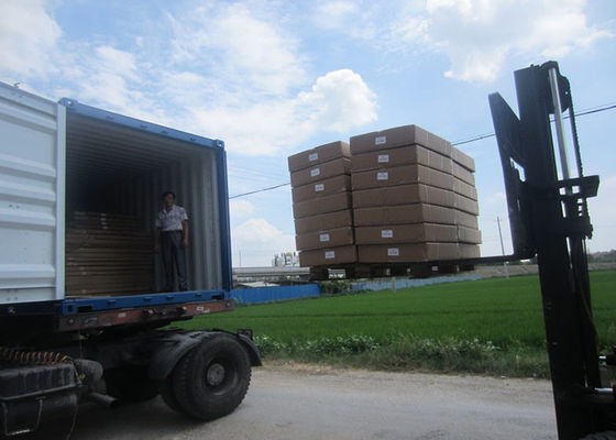 450×600mm 0,5 Tonnen-Kohlenstoffstahl-Bank-wiegende Skala