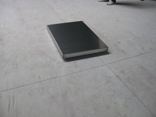 Edelstahl 304 niedriger Hundewiegende Skalen der Servierplatten-150kg