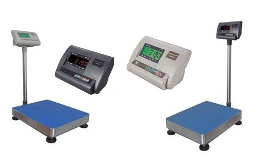 300x300mm 100kg 300kg Plattformskala des digitalen Anlagenmaßstabs Flussstahls elektronische