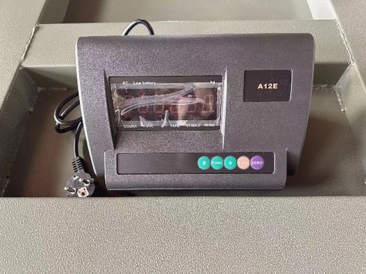 Vorbeugung von Mausbissen Hochwertige industrielle elektronische Bodenwaage Digitale Waage