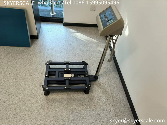 300kg Plattform Bench Skala Computer mit Rs232 verbinden