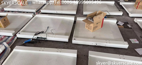 Medizinisches Krankenhaus spezialisierte 800x800mm 250kg Rollstuhl Skala