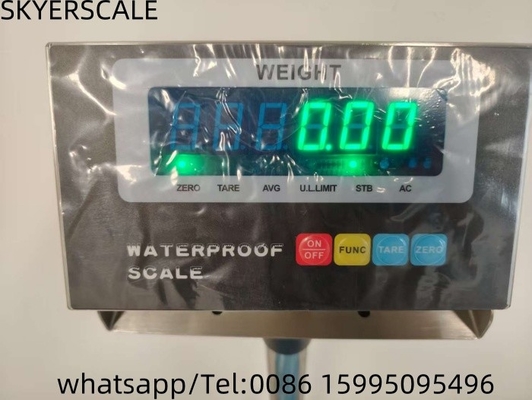 Plattformbank Edelstahl wasserdichte Waagen Inox 200kg Waage