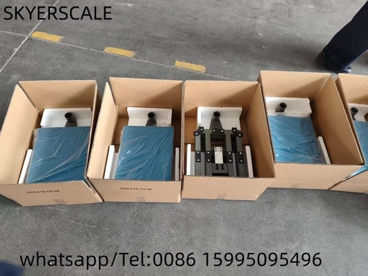 Wirtschaftliche Waage 200 kg Kohlenstoffstahl Plattformwaage