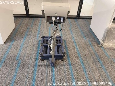 Plattform Elektronische Waage Wirtschaftliche Bankwaage 300kg