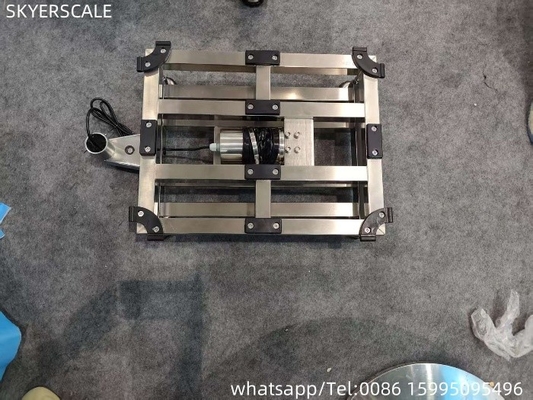 Fabrik 304 aus vollständigem Edelstahl 400x500mm 300kg Wasserdicht IP67 Plattformskala
