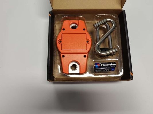Hohe Qualität 300 kg Mini Digitalen Haken Hängender Kran Elektronische Waage