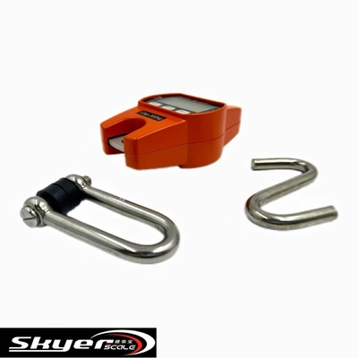 300kg Digital Crane Scale with LED LCD Display