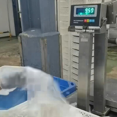 30x40cm 304 Edelstahl Wasserdichte Tischwaage   100kg