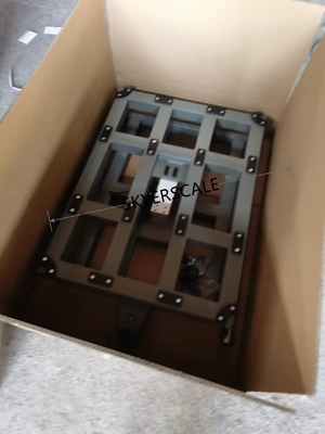 elektronische Plattform-Skala TCS 800kg, Bank-Boden-wiegende Skalen