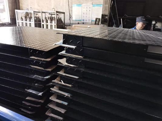 Wiegende Skalen des elektronischen Boden-SUS304 für industrielles