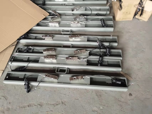 Elektronische bewertete Last der Vieh-Digital-Balkenwaage-Skala-3000kg